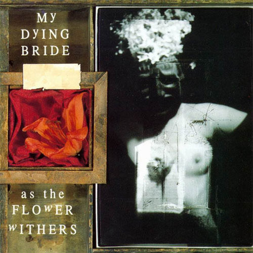 My Dying Bride - As the Flower Withers