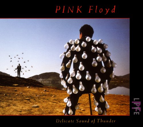 Pink Floyd - Delicate Sound Of Thunder (1988) 320kbps