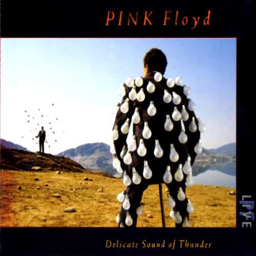Pink Floyd - Delicate Sound of Thunder (Live) (1998) 320kbps