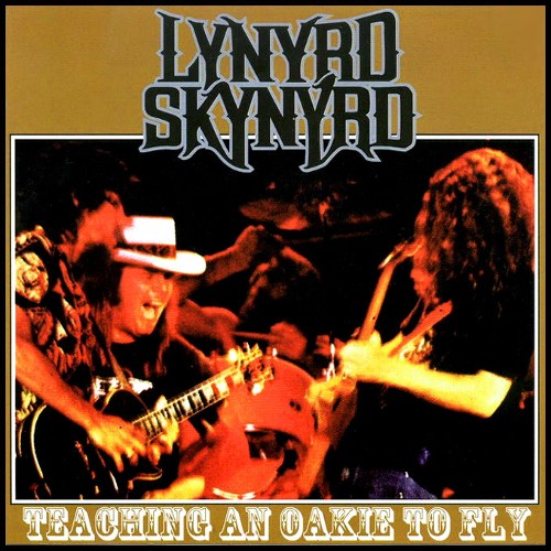 Lynyrd Skynyrd - Teaching An Oakie To Fly (1976) 320kbps