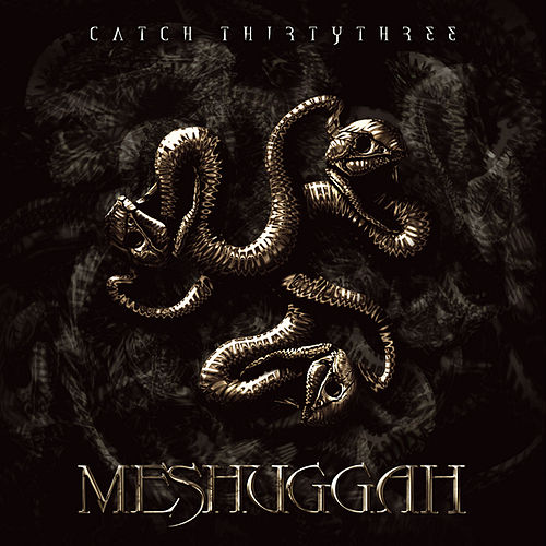 Meshuggah - Catch Thirtythree (2005) 320kbps
