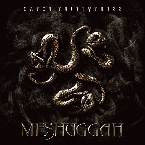 Meshuggah - Catch Thirtythree