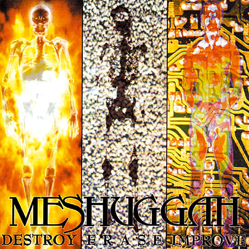 Meshuggah - Destroy Erase Improve (Reloaded) (1995) 320kbps