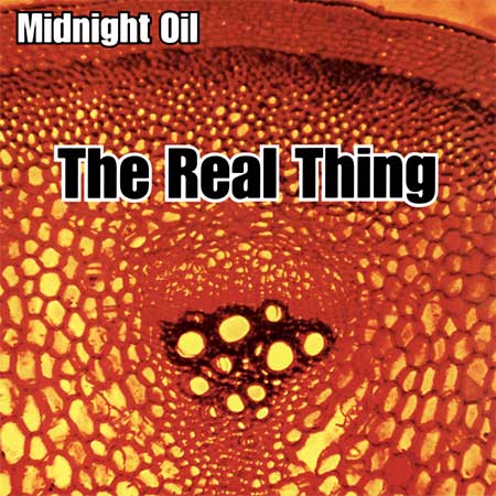 Midnight Oil - The Real Thing (Live)