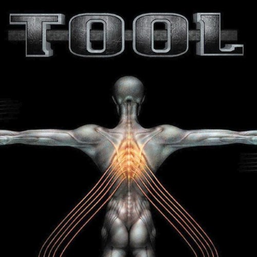 Tool - Salival